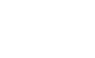 ICE 2019